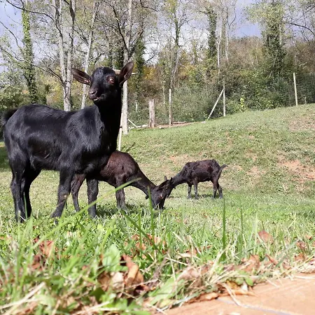 Rural La Soleia D'oix Gospodarstwo wiejskie *
