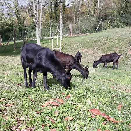 Rural La Soleia D'oix Casa rural *